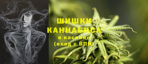 экстази Гусь-Хрустальный