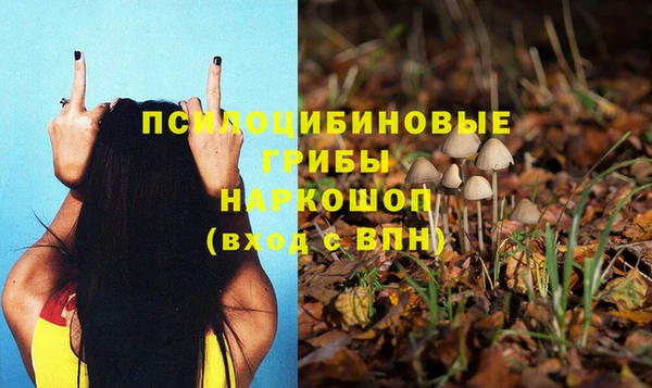 метадон Гусиноозёрск