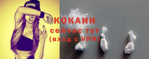 кокс Гусев