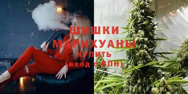 кокс Гусев